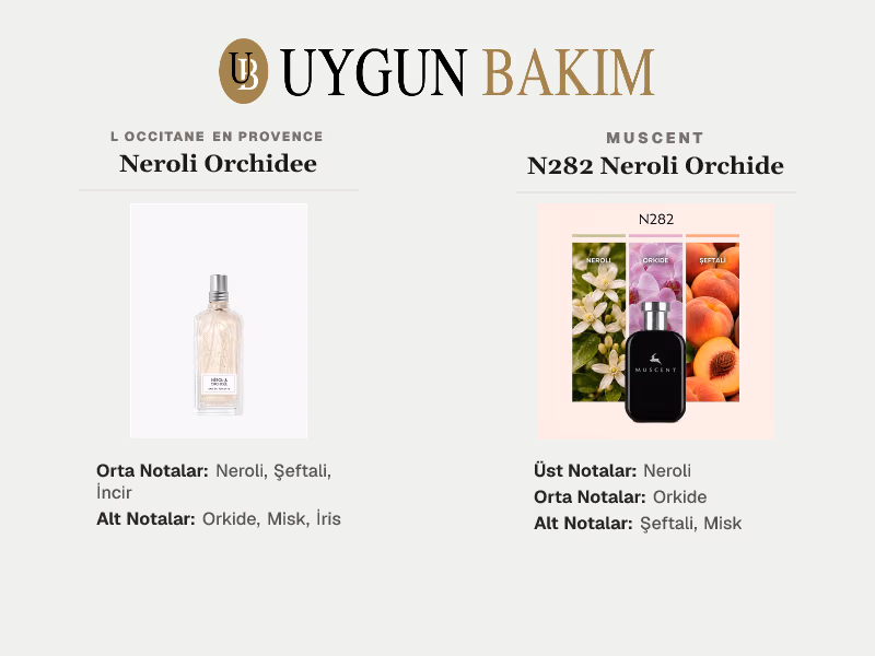 L Occitane En Provence Neroli Orchidee | Muscent N282 Neroli Orchide Muadili