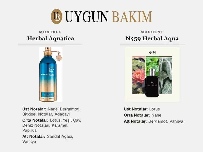 Montale Herbal Aquatica | Muscent N459 Herbal Aqua Muadili