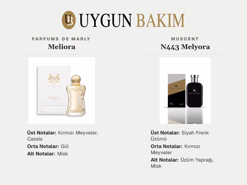Parfums De Marly Meliora | Muscent N443 Melyora Muadili