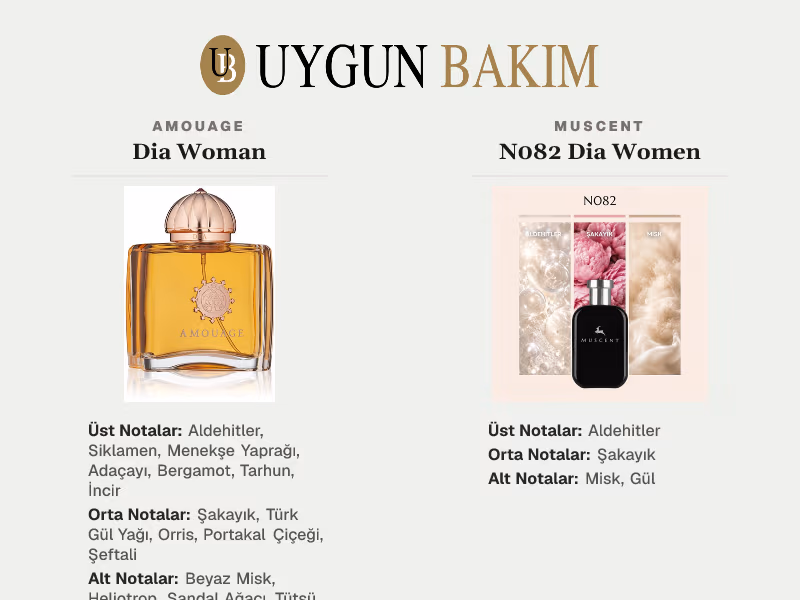 Amouage Dia Woman | Muscent N082 Dia Women Muadili