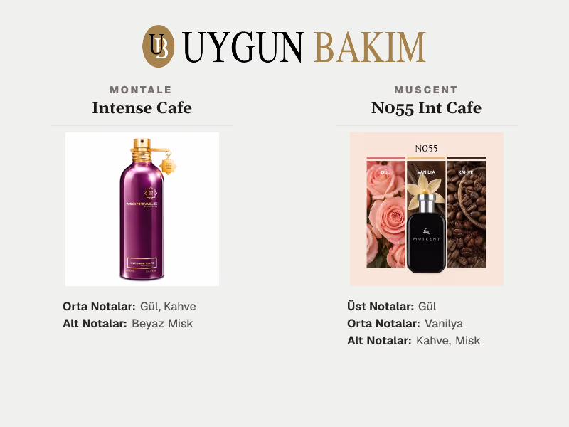 Montale Intense Cafe | Muscent N055 Int Cafe Muadili