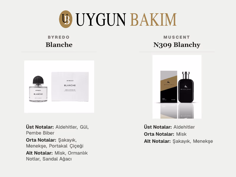 Byredo Blanche | Muscent N309 Blanchy Muadili