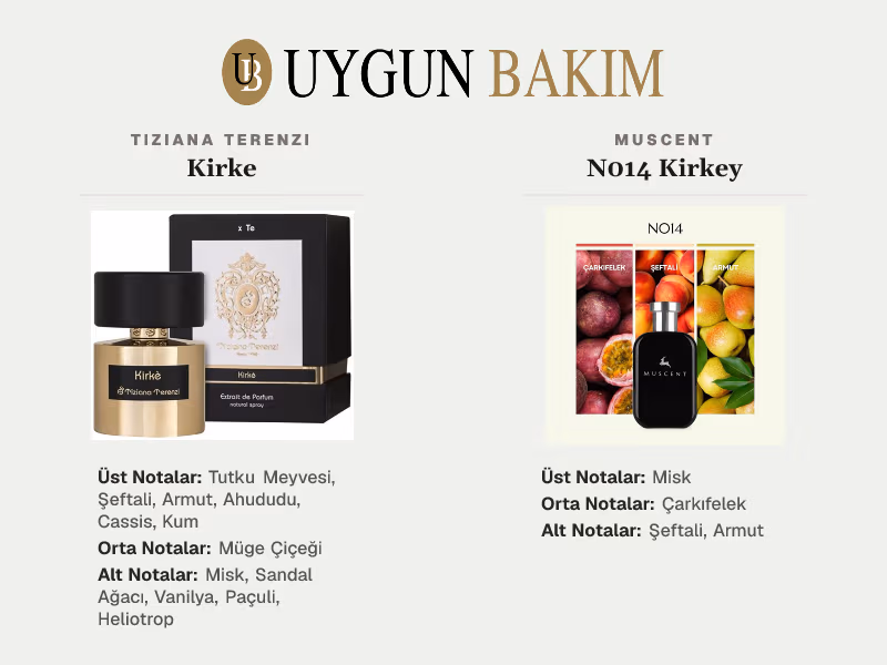 Tiziana Terenzi Kirke | Muscent N014 Kirkey Muadili