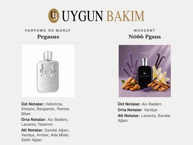 Parfums De Marly Pegasus | Muscent N066 Pgsus Muadili
