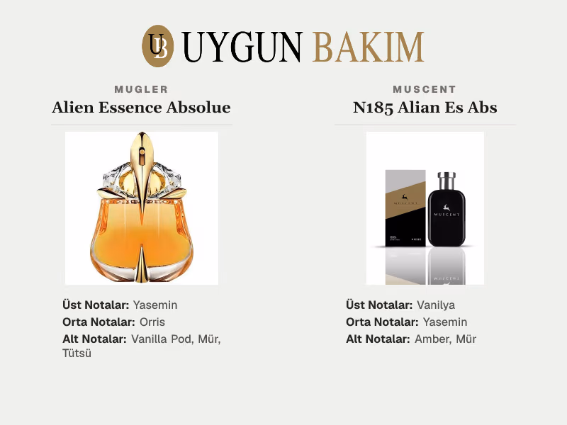 Mugler Alien Essence Absolue | Muscent N185 Alian Es Abs Muadili