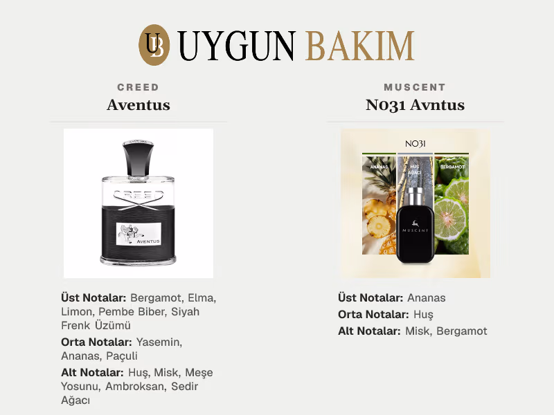 Creed Aventus | Muscent N031 Avntus Muadili