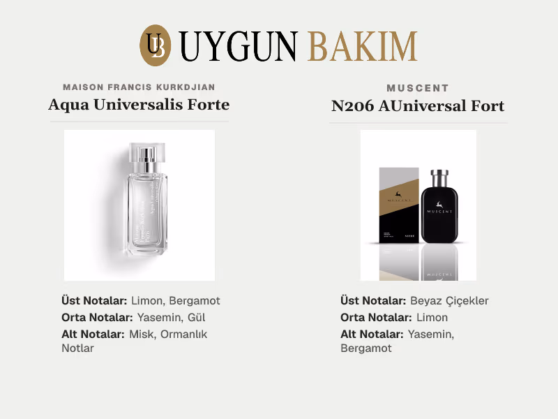 Maison Francis Kurkdjian Aqua Universalis Forte | Muscent N206 AUniversal Fort Muadili