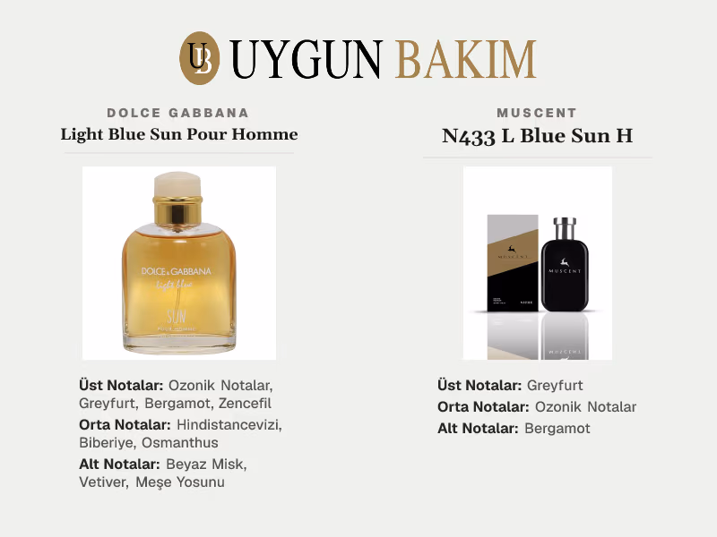 Dolce Gabbana Light Blue Sun Pour Homme | Muscent N433 L Blue Sun H Muadili