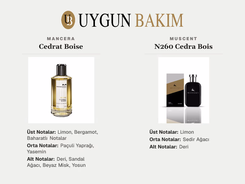 Mancera Cedrat Boise | Muscent N260 Cedra Bois Muadili