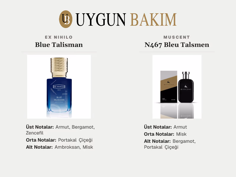 Ex Nihilo Blue Talisman | Muscent N467 Bleu Talsmen Muadili