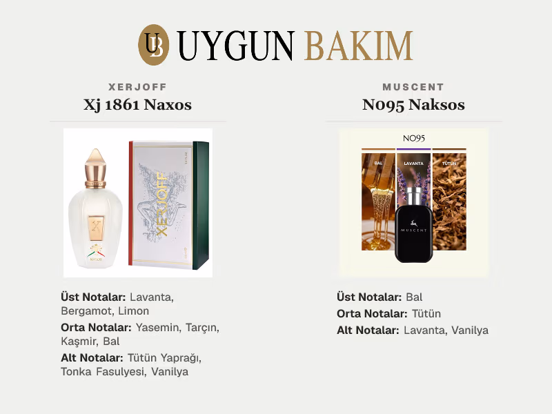 Xerjoff Xj 1861 Naxos | Muscent N095 Naksos Muadili