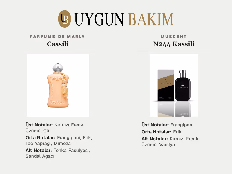 Parfums De Marly Cassili | Muscent N244 Kassili Muadili