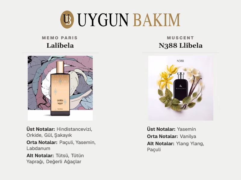 Memo Paris Lalibela | Muscent N388 Llibela Muadili