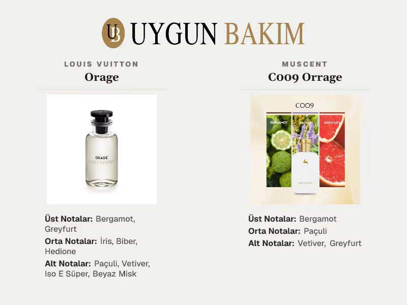 Louis Vuitton Orage | Muscent C009 Orrage Muadili