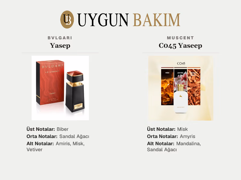Bvlgari Yasep | Muscent C045 Yaseep Muadili