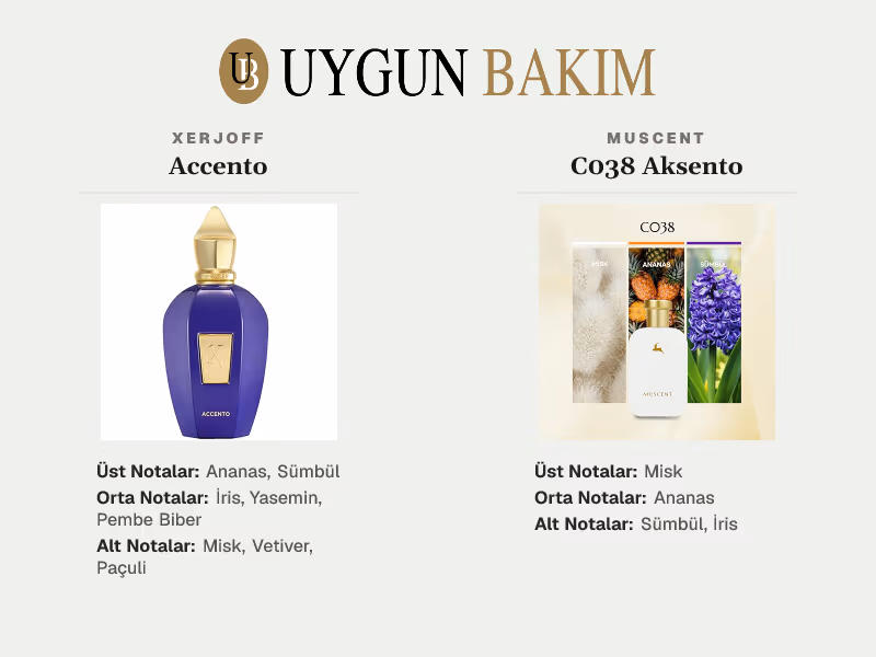 Xerjoff Accento | Muscent C038 Aksento Muadili