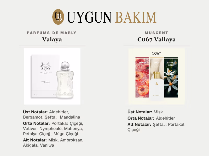 Parfums De Marly Valaya | Muscent C067 Vallaya Muadili