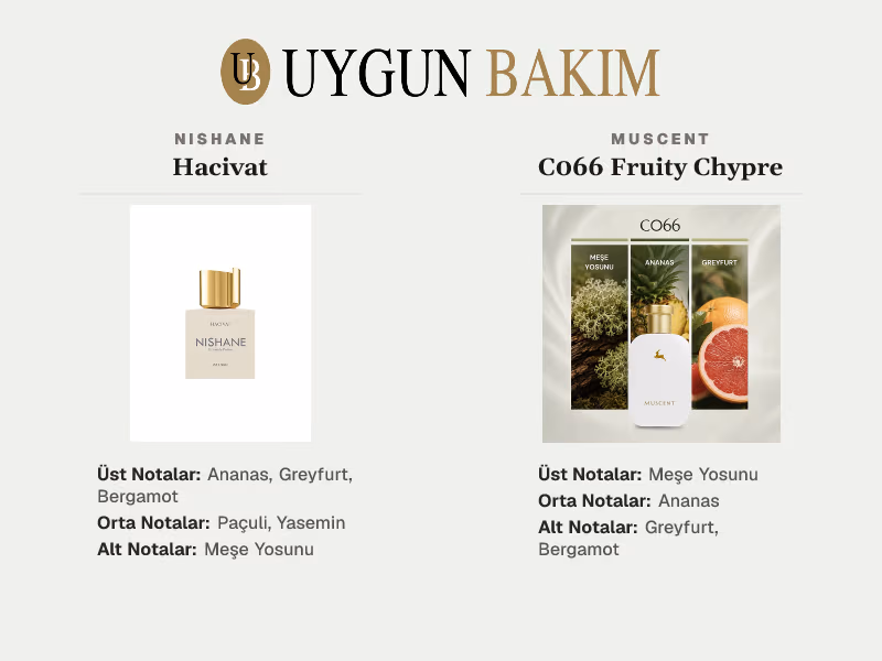 Nishane Hacivat | Muscent C066 Fruity Chypre Muadili