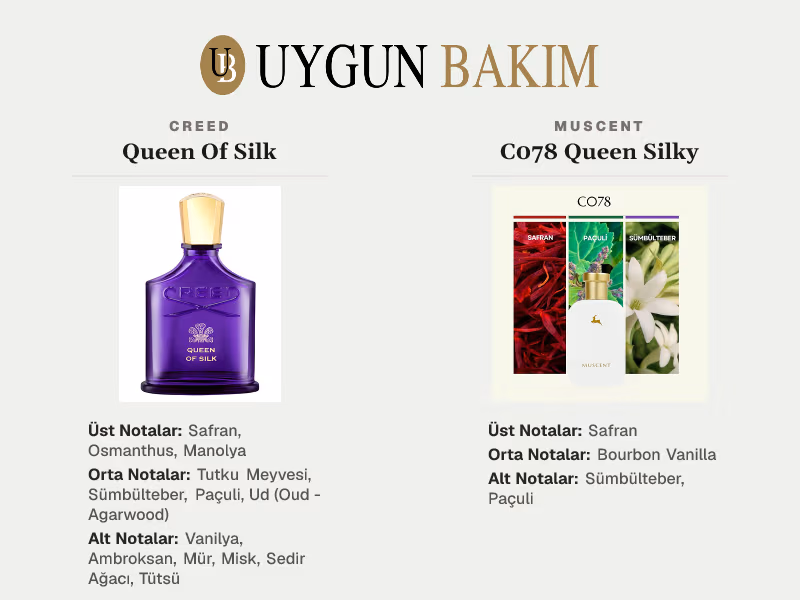 Creed Queen Of Silk | Muscent C078 Queen Silky Muadili