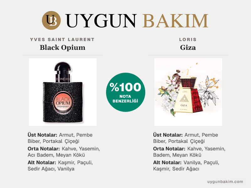 Yves Saint Laurent Black Opium | Loris Giza Muadili