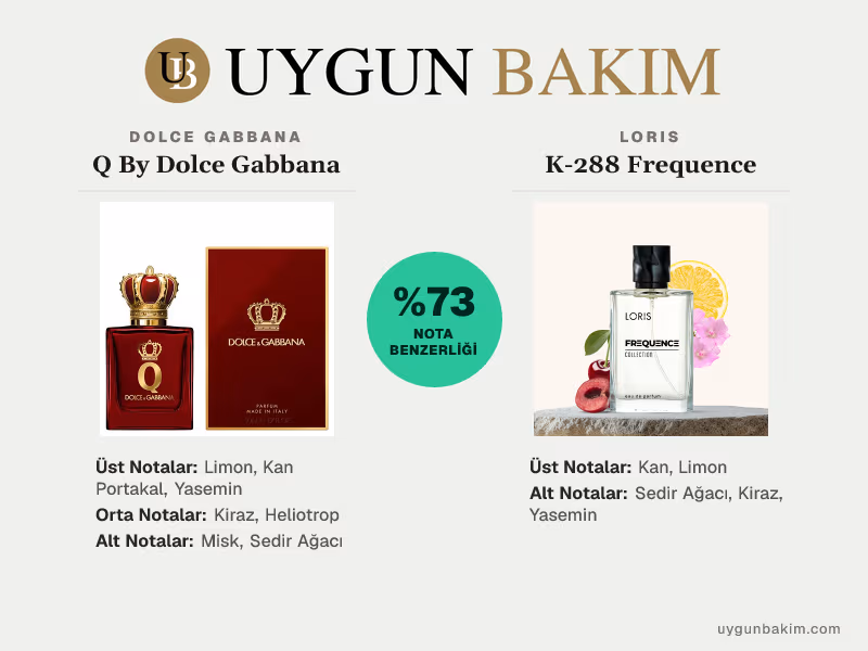 Dolce Gabbana Q By Dolce Gabbana | Loris K-288 Frequence Muadili