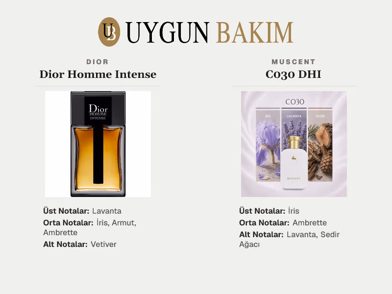 Dior Homme Intense | Muscent C030 DHI Muadili