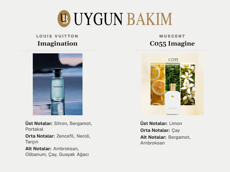 Louis Vuitton Imagination | Muscent C055 Imagine Muadili