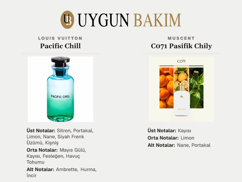 Louis Vuitton Pacific Chill | Muscent C071 Pasifik Chily Muadili