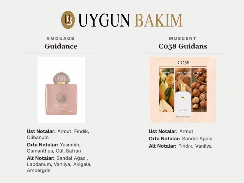 Amouage Guidance | Muscent C058 Guidans Muadili