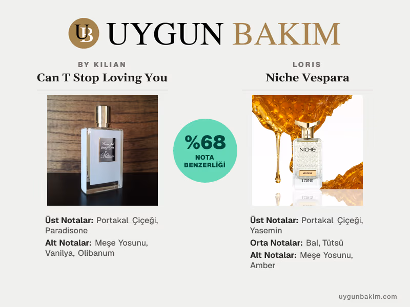 By Kilian Can T Stop Loving You | Loris Niche Vespara Muadili