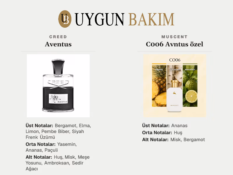 Creed Aventus | Muscent C006 Avntus özel Muadili