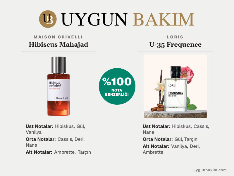 Maison Crivelli Hibiscus Mahajad | Loris U-35 Frequence Muadili