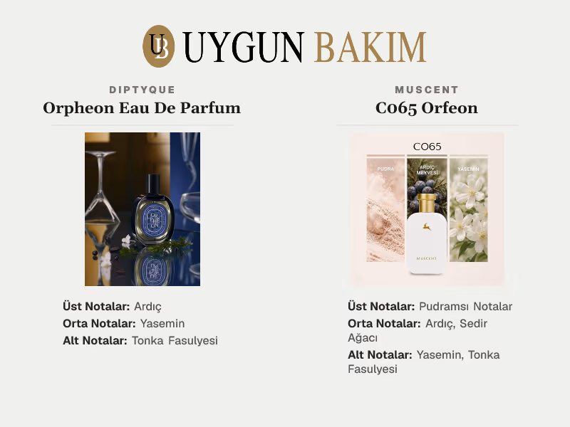 Diptyque Orpheon Eau De Parfum | Muscent C065 Orfeon Muadili