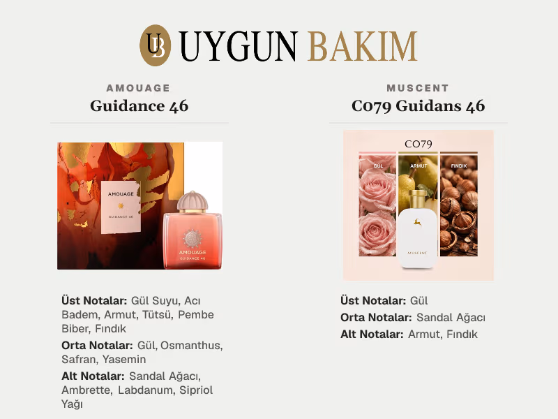 Amouage Guidance 46 | Muscent C079 Guidans 46 Muadili