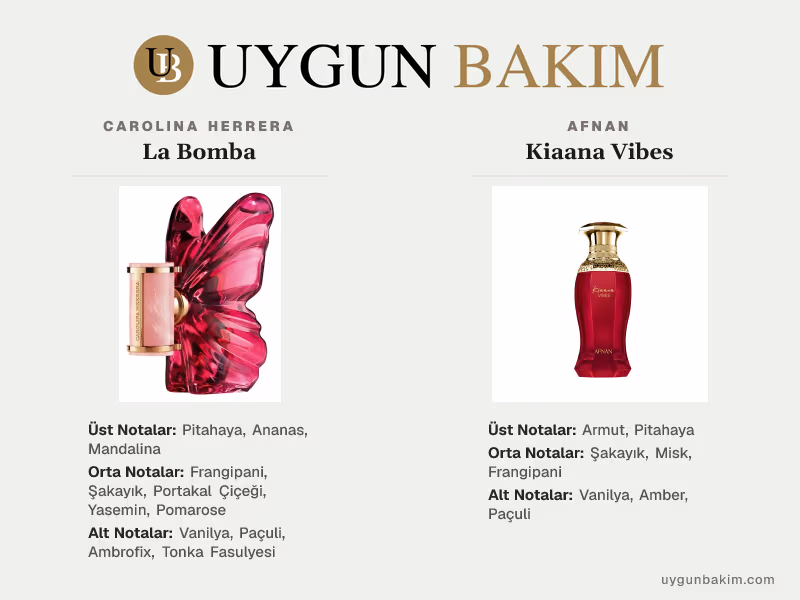 Carolina Herrera La Bomba | Afnan Kiaana Vibes Muadili