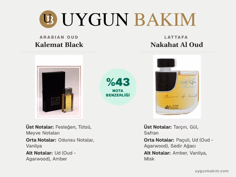 Arabian Oud Kalemat Black | Lattafa Nakahat Al Oud Muadili
