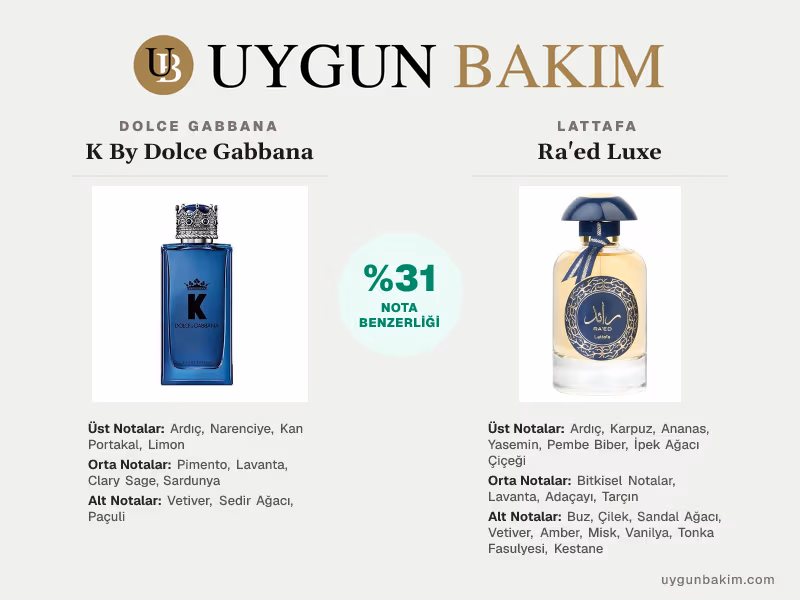 Dolce Gabbana K By Dolce Gabbana | Lattafa Ra'ed Luxe Muadili