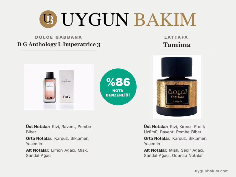Dolce Gabbana D G Anthology L Imperatrice 3 | Lattafa Tamima Muadili