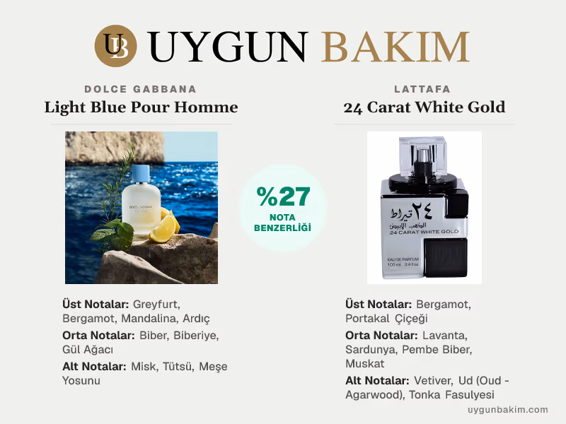 Dolce Gabbana Light Blue Pour Homme | Lattafa 24 Carat White Gold Muadili