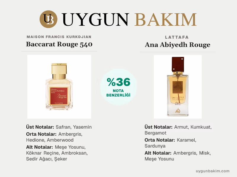 Maison Francis Kurkdjian Baccarat Rouge 540 | Lattafa Ana Abiyedh Rouge Muadili