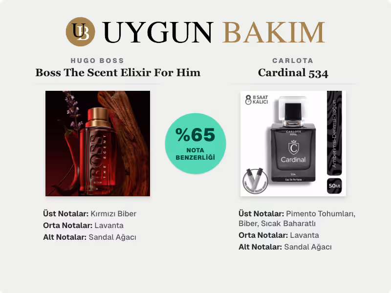 Hugo Boss Boss The Scent Elixir For Him | Carlota Cardinal 534 Muadili