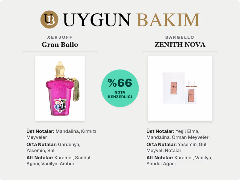 Bargello ZENITH NOVA Neyin Muadili?