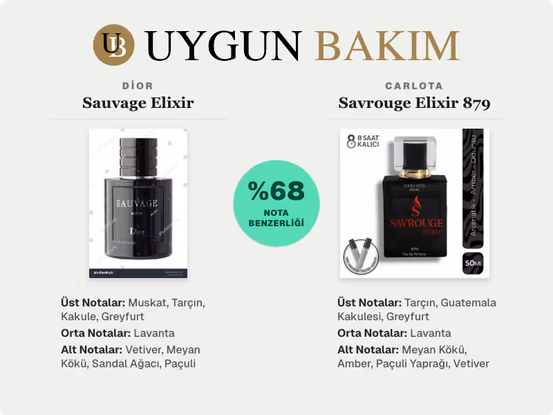 Dior Sauvage Elixir | Carlota Savrouge Elixir 879 Muadili