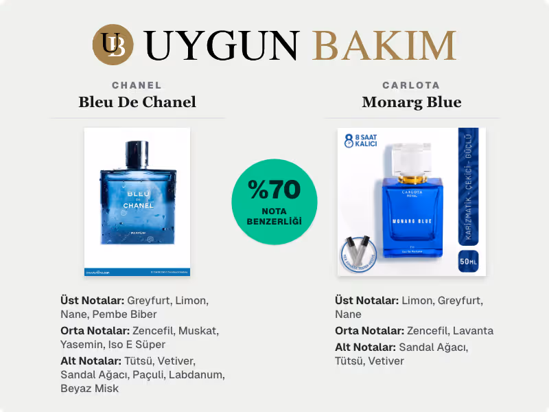 Chanel Bleu De Chanel | Carlota Monarg Blue Muadili