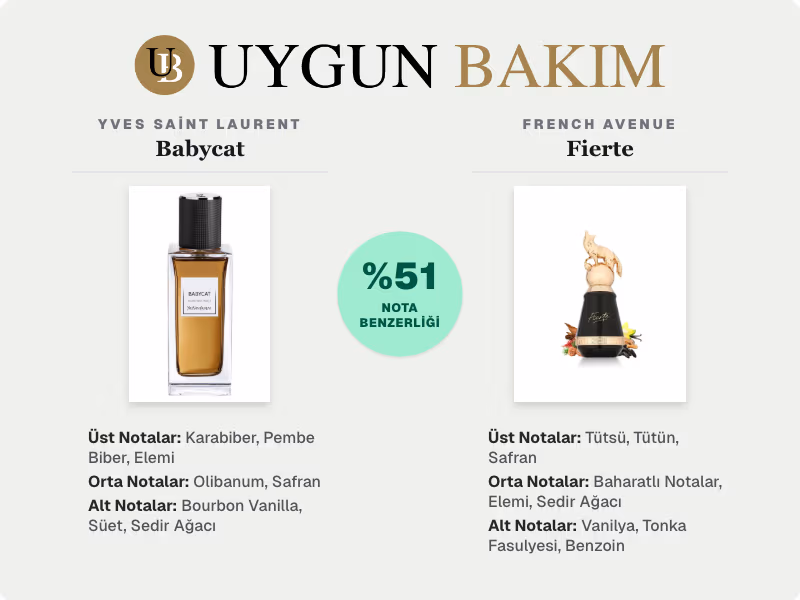 Yves Saint Laurent Babycat | French Avenue Fierte Muadili