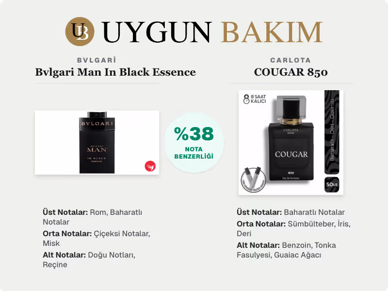 Bvlgari Bvlgari Man In Black Essence | Carlota COUGAR 850 Muadili