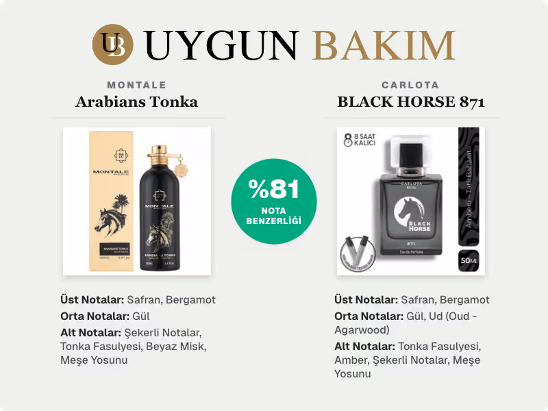 Montale Arabians Tonka | Carlota BLACK HORSE 871 Muadili