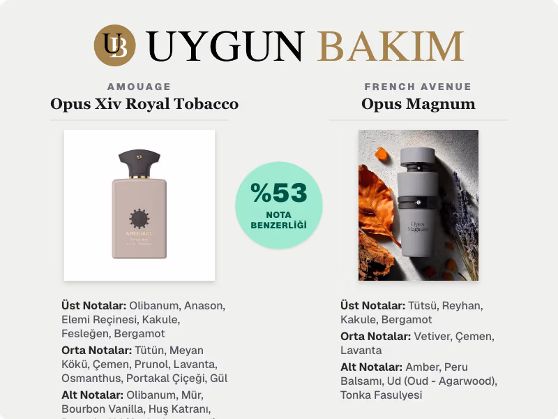 Amouage Opus Xiv Royal Tobacco | French Avenue Opus Magnum Muadili