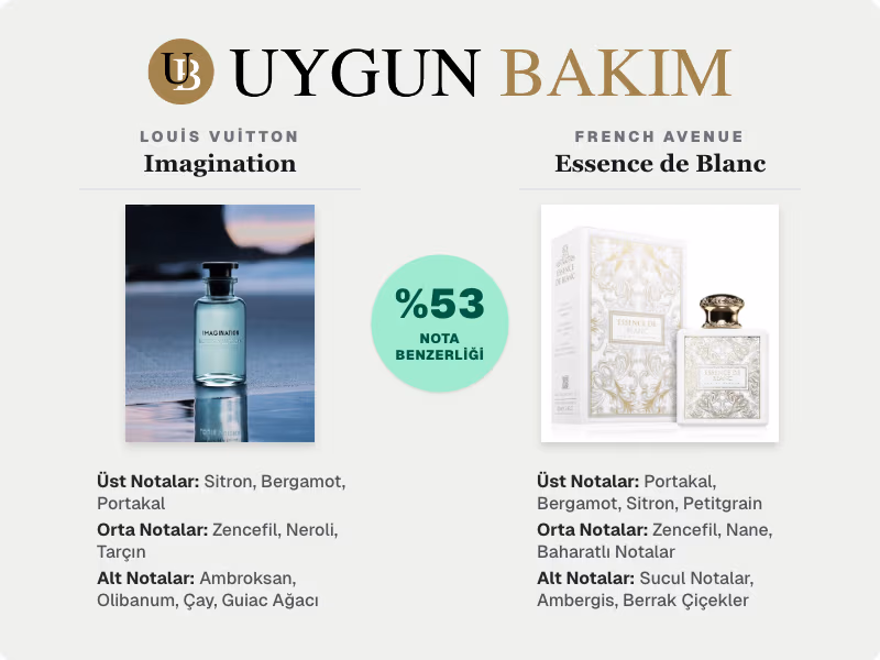 Louis Vuitton Imagination | French Avenue Essence de Blanc Muadili