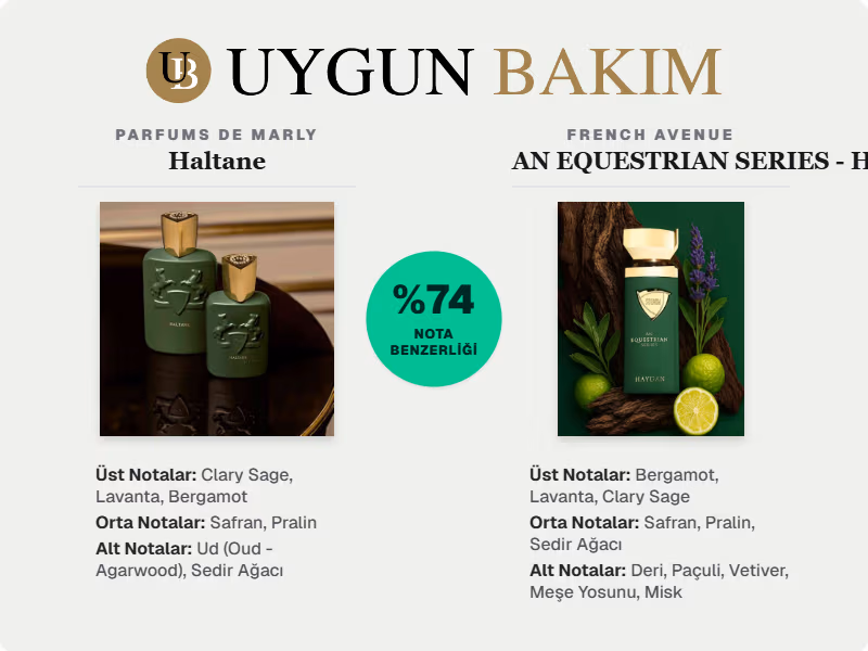 French Avenue AN EQUESTRIAN SERIES - HAYDAN Neyin Muadili?